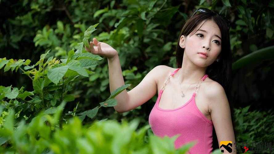 畅享 GOGOGO 高清在线播放,极致视觉盛宴等你来