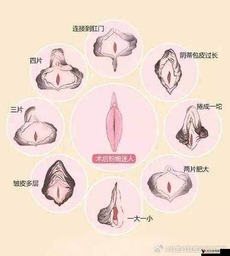 汤芳阴沟:探秘女性身体的私密世界