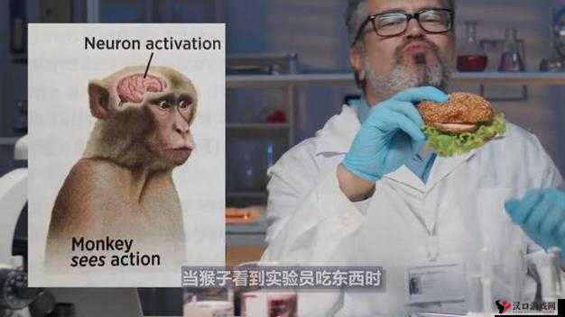 疯狂科学家创造神奇猴子:人与机器的完美结合