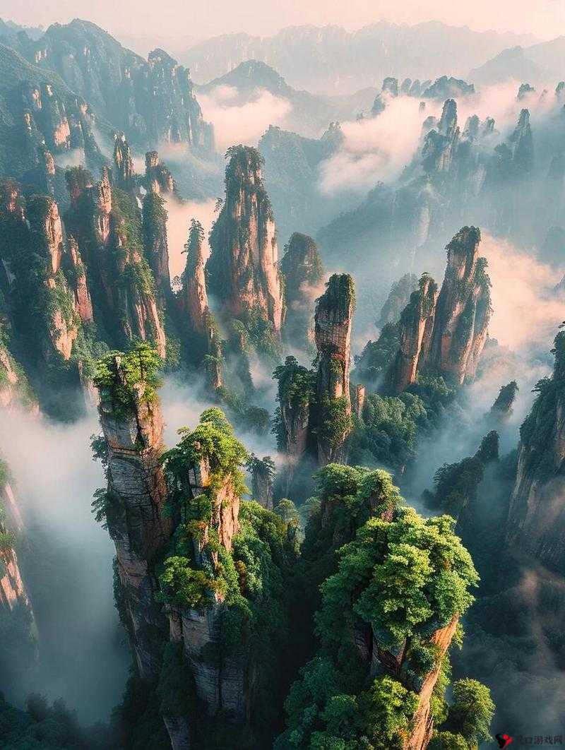 晃来晃去的巨峰：那独特而引人瞩目的存在