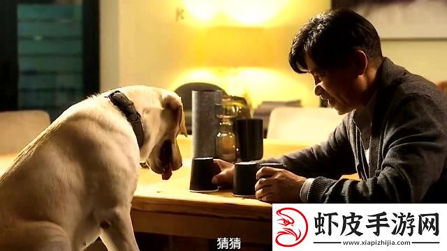 崛起的科技新星