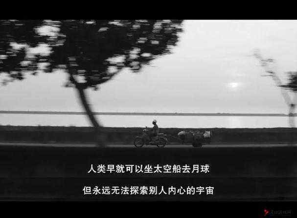 探索人类内心深处的欲望深渊:剖析** 911背后的人性挣扎
