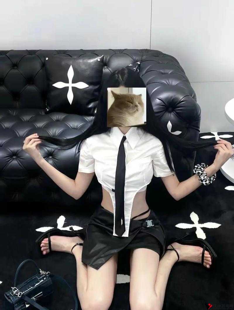 被**的**:主人的**之路
