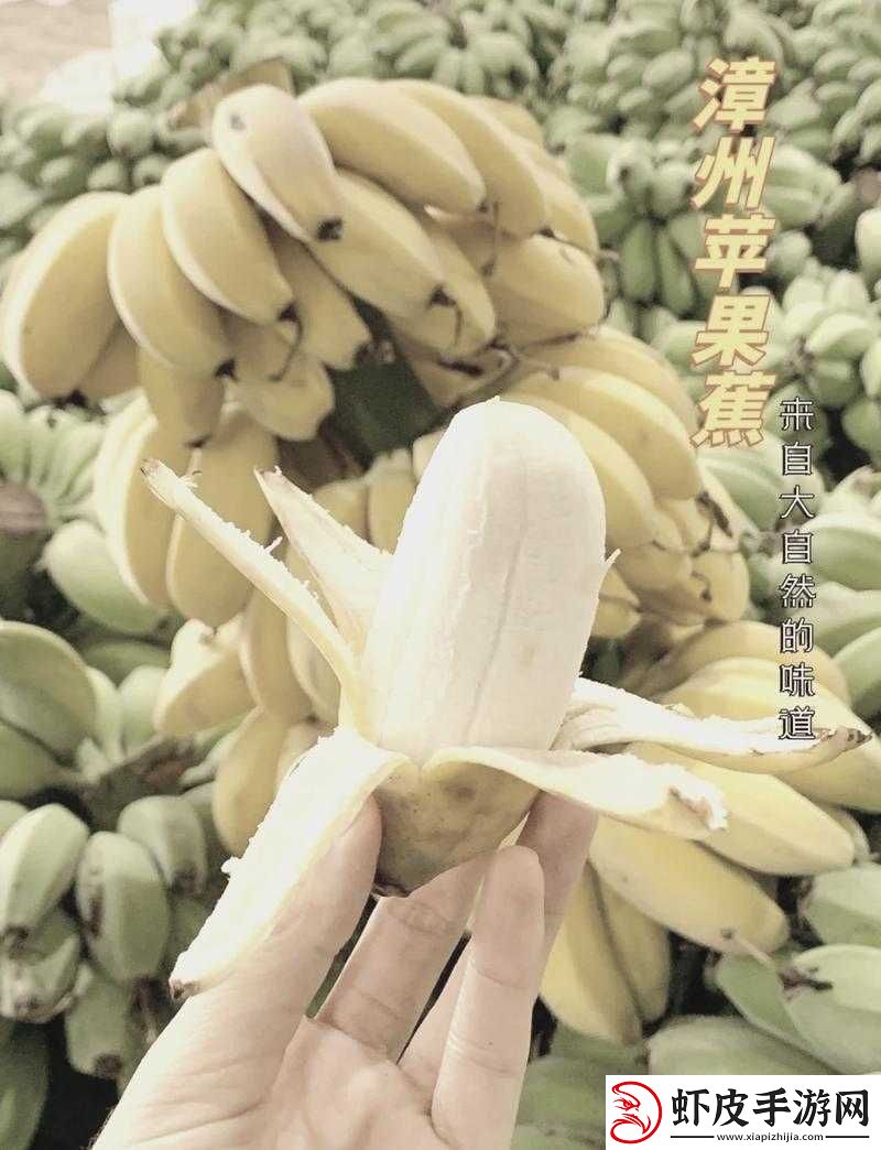 福建大菠萝官方站