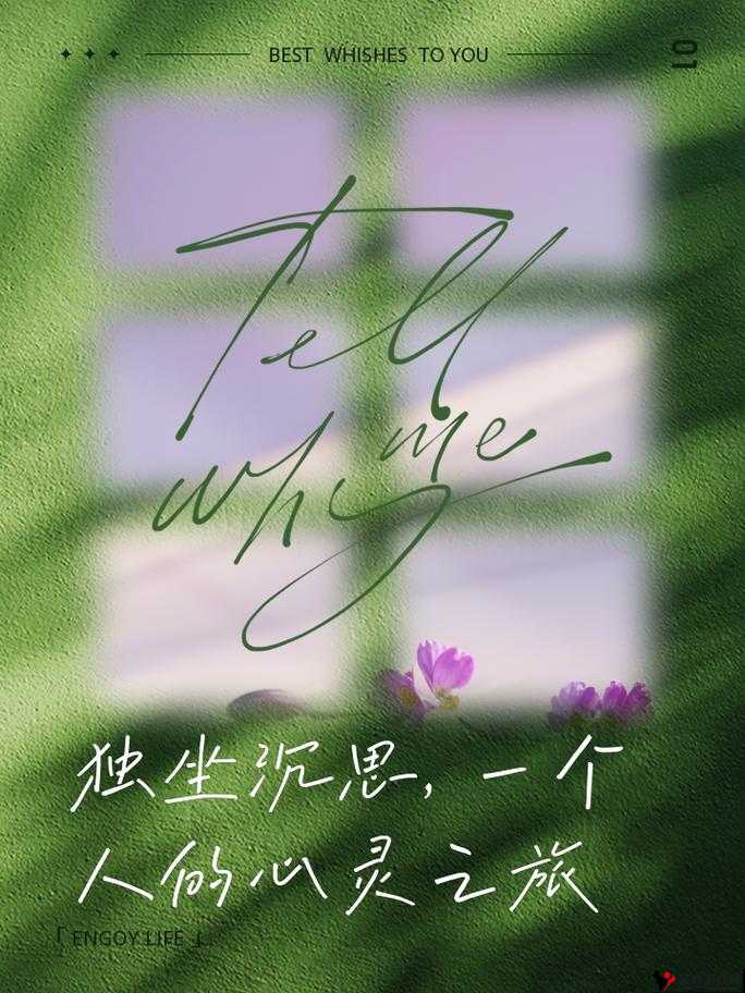 呜呜呜呜呜呜呜呜我想问一下雨:探寻雨中的秘密与思绪