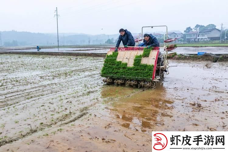 4厘米插秧神操作