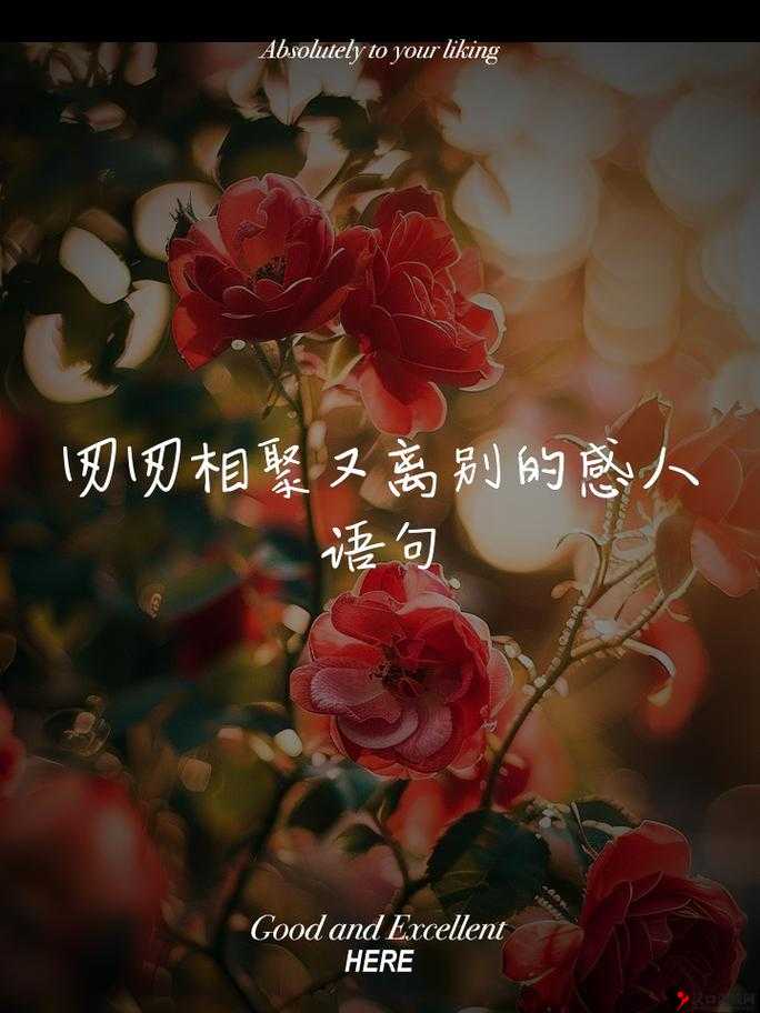 日韩欧美中文字幕送别：那些温暖感人的离别瞬间与回忆