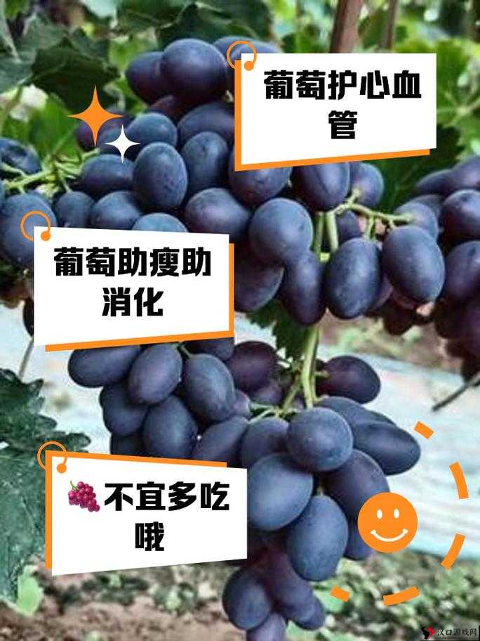 葡萄不准掉出来晚上检查需确保万无一失