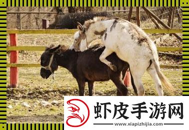 科技的狂野韵脚