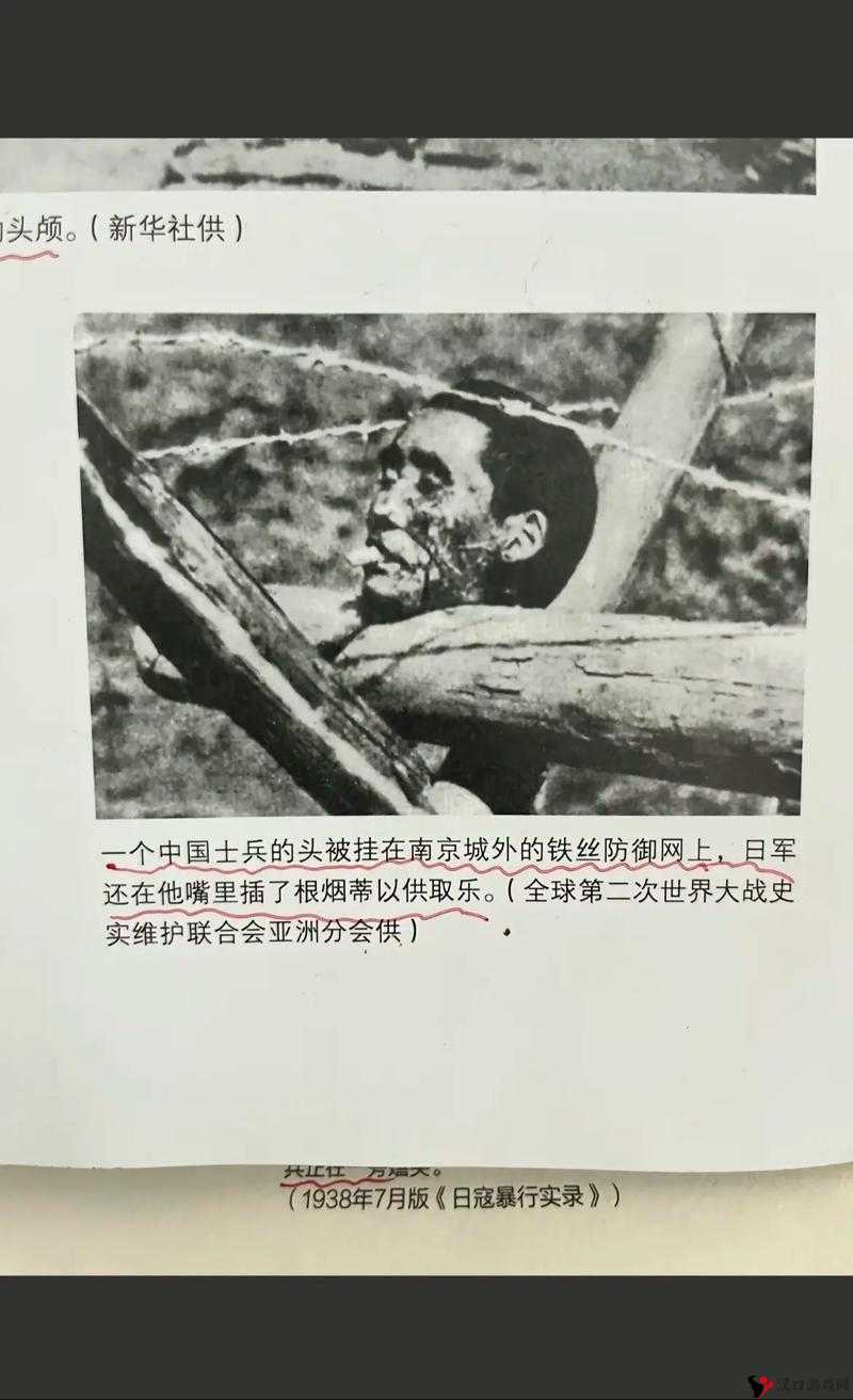 黄无遮挡背后的故事:一段被遗忘的历史
