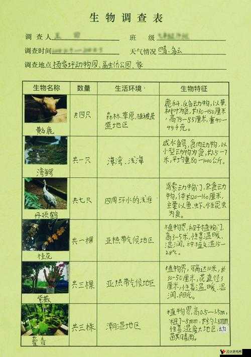 国产一卡 2 卡 3 卡 4 卡:探索内容的多样性
