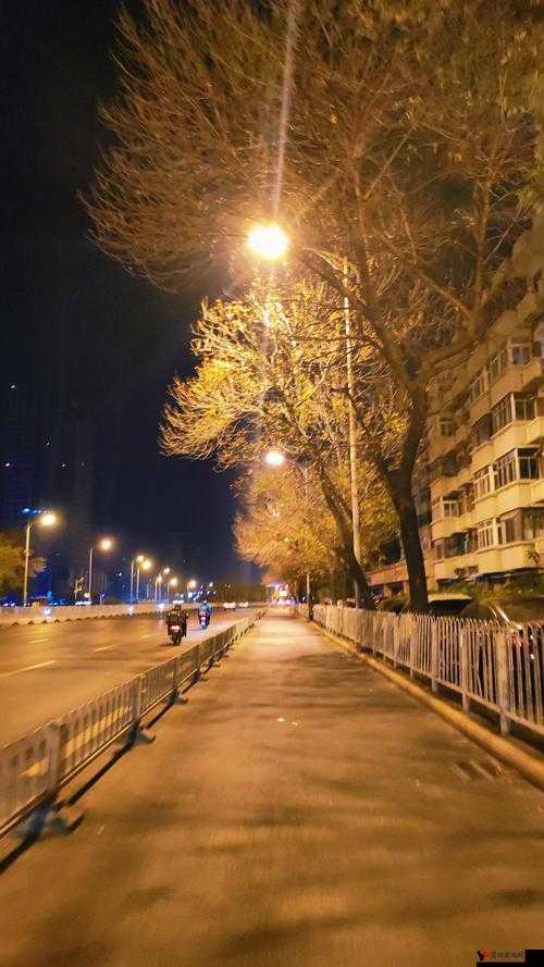 寒冷冬夜城中村 相中刚回来的:讲述那些不为人知的故事