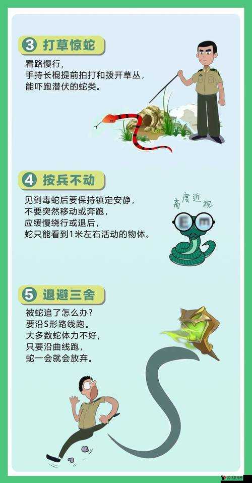 蛇蛇大作战,躲避大蛇追击与强敌追击技巧攻略