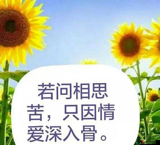 久久爱久久爱久久爱一区:带你领略无尽的深情与浪漫