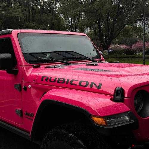 桃红色 jeep 界人口的特点:颜值高、身材好、爱社交