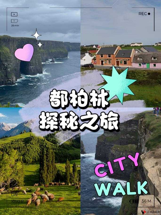 探秘成色好 P31S:揭开其神秘面纱的精彩之旅
