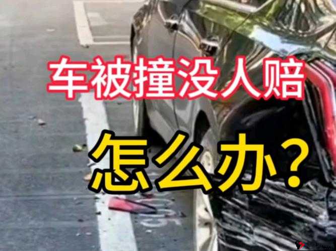 汽车被撞后车主与肇事者的激烈冲突及后续赔偿事宜追踪
