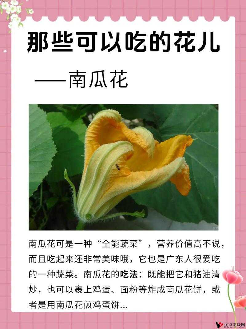 吃花核心:流水般畅饮,别样奇妙体验