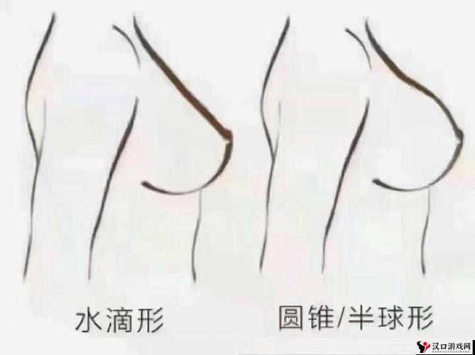 水滴形和圆形**效果大揭秘:你更适合哪种形状?