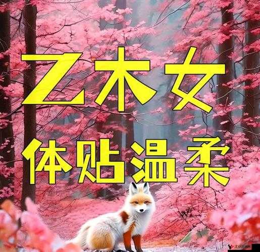 宝贝我轻一点:两性关系中的温柔与体贴