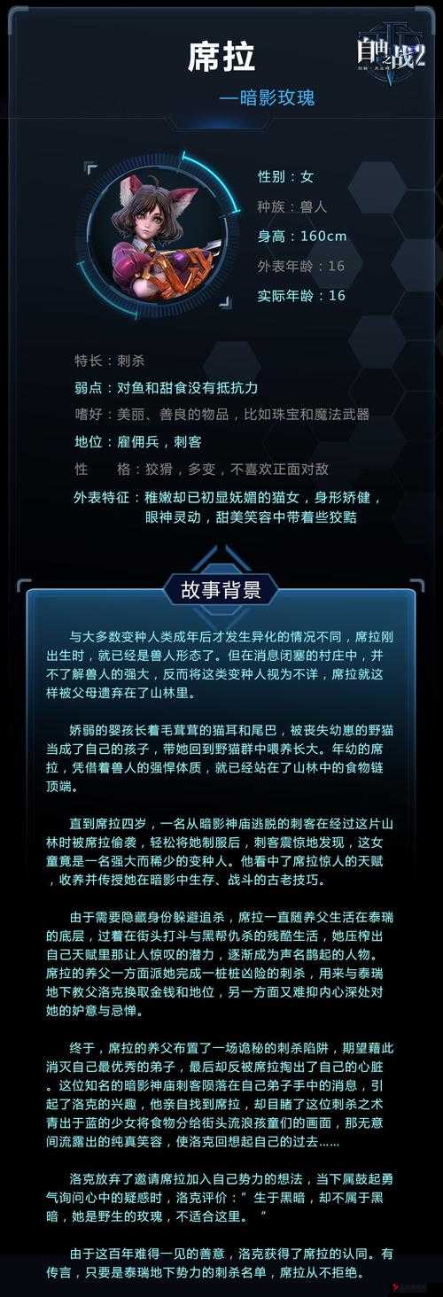 自由之战席拉圣石搭配秘籍,解锁你的战斗潜能