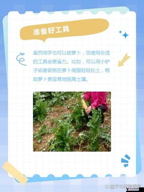 拔萝卜痛又叫降黄 9.1:这到底是一种怎样奇特的现象呢