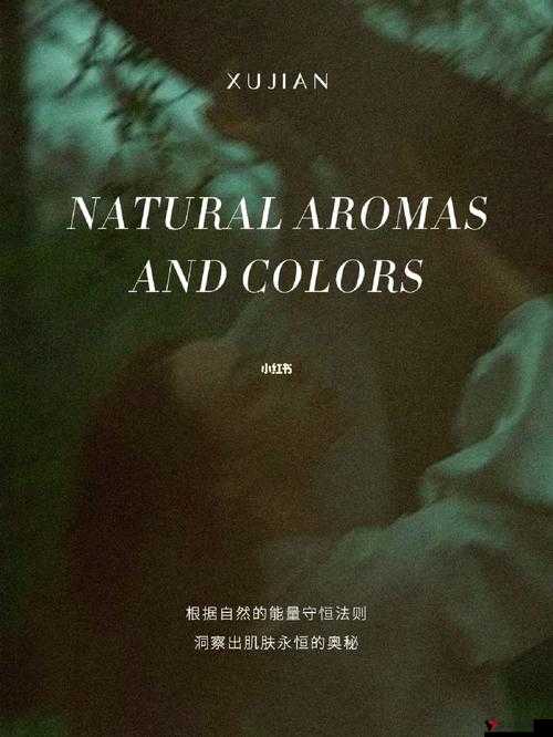 仙林踪 Cosmetology 大陆:探索神奇的美容奥秘之旅