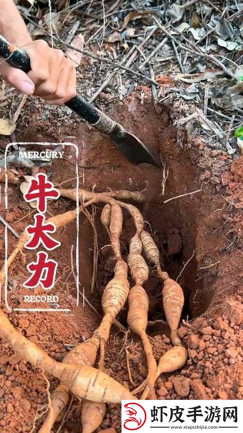 大力牛汉子