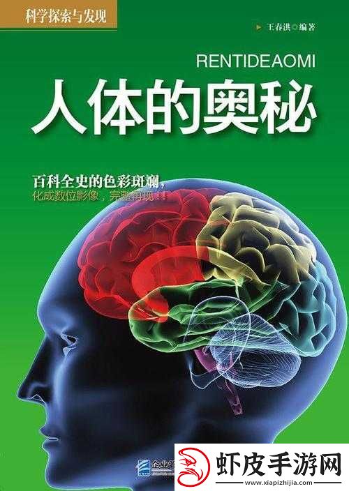 探索人体艺术的奥秘
