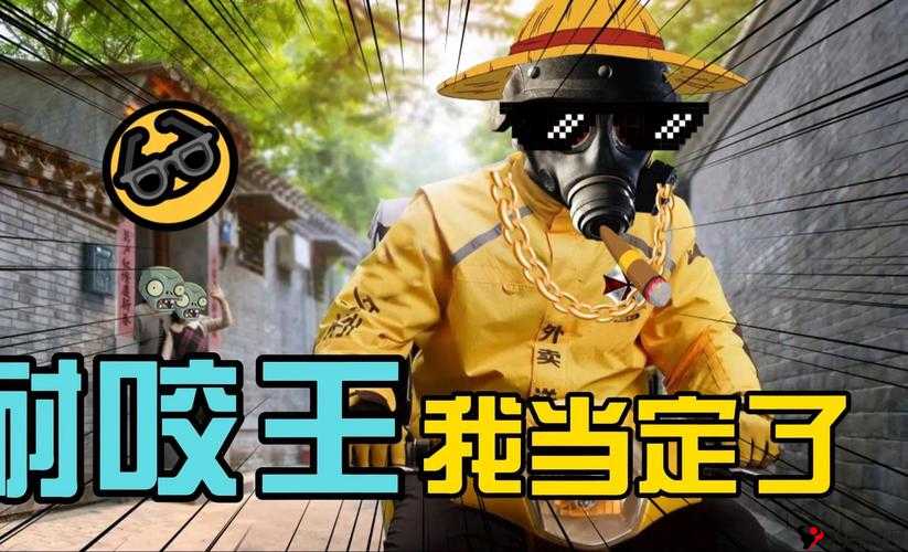 太极熊猫2,甜心死神与汉克,哪个更好?实力对比分析及其在游戏资源管理中的重要性