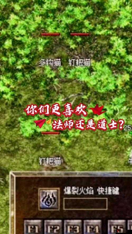 热血传奇手机版法师和道士哪个抢BOSS厉害