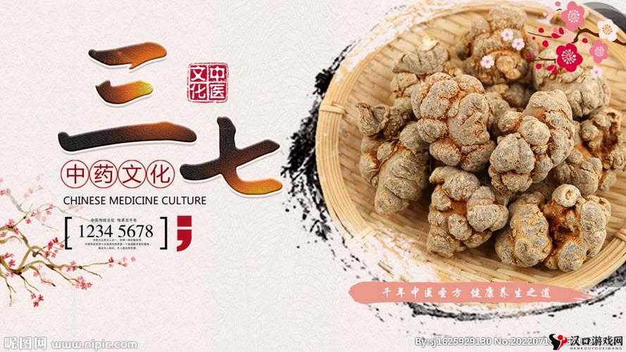 三七大但人文艺术免费：带你领略独特的艺术魅力与文化价值