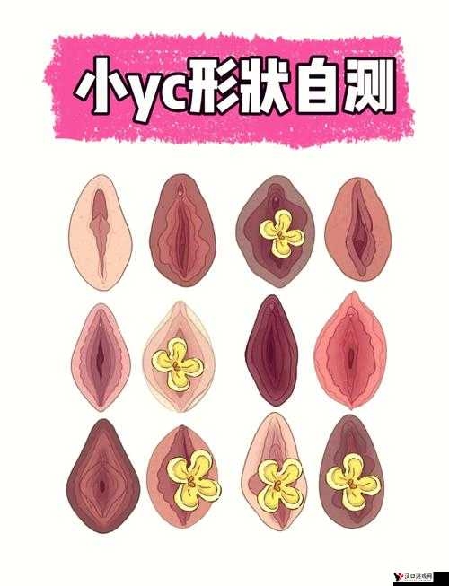 怎样吃女生的小花园呢:私密部位的探索与满足