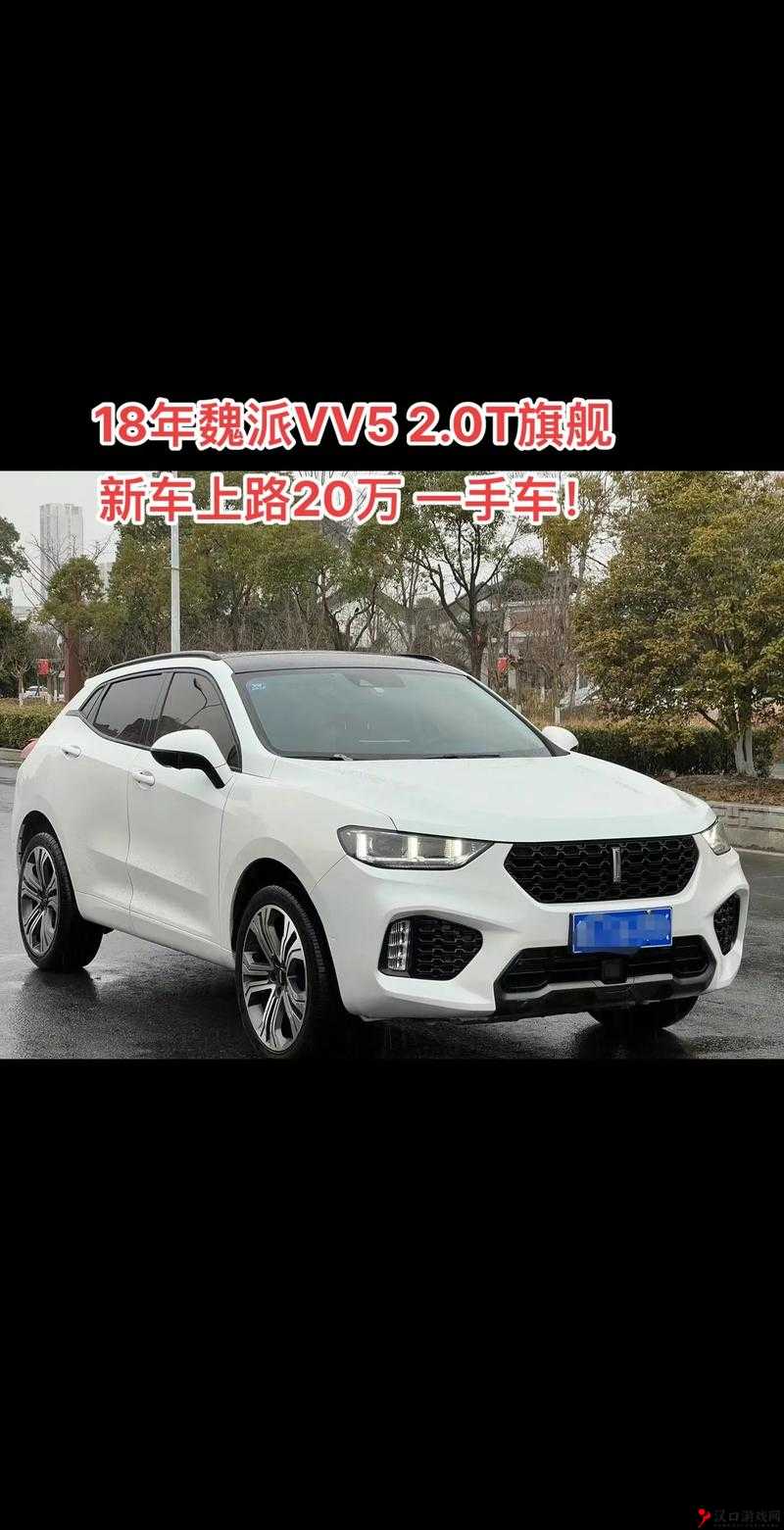 weyvv5 国产的 suv 不再限制观看:带来全新驾驶体验与视觉享受