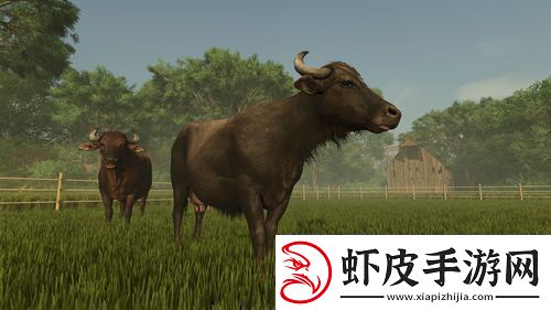 模拟农场
