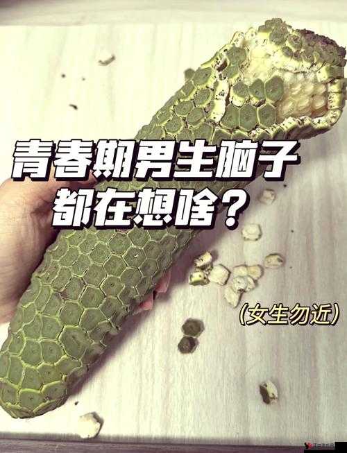 高中男生间同性互吃行为引发关注探讨