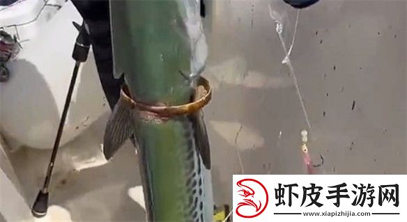 男子钓上一条自带“赎金”的鱼