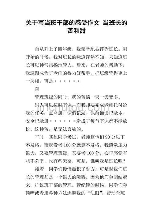 班长成为全班的插座作文:一位班长独特经历的深度记录