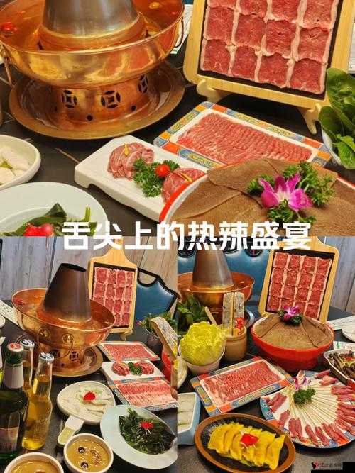 熹妃传烹饪玩法大揭秘,舌尖上的宫廷盛宴