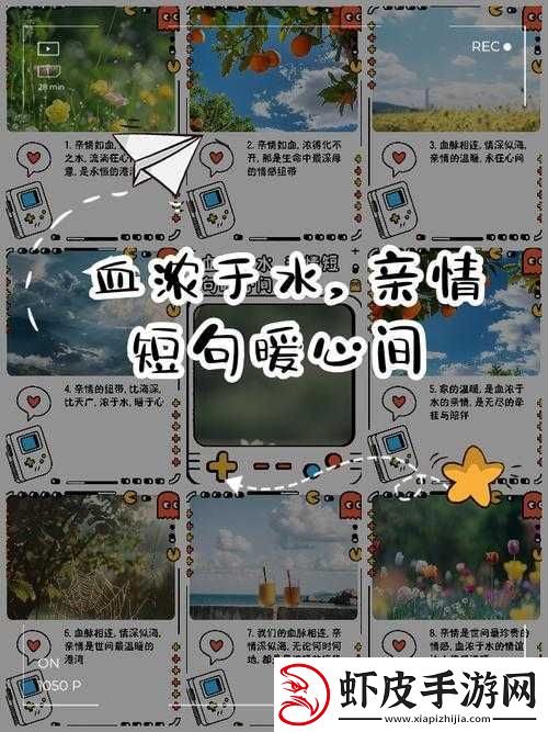 亲情会高敏高虎