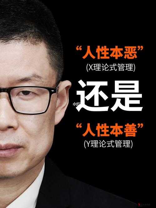 人性理论与 XY 理论的关系探究及对管理实践的重要启示