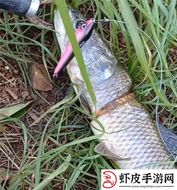 男子钓上一条自带“赎金”的鱼