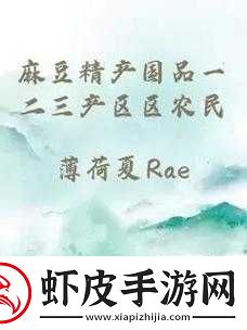 麻豆精产三产区在二线三线的发展现状与趋势探讨