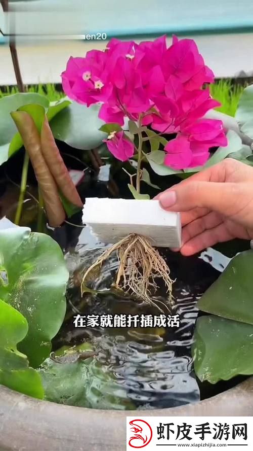 新探讨坐着扦插BB有什么好处的多重优势