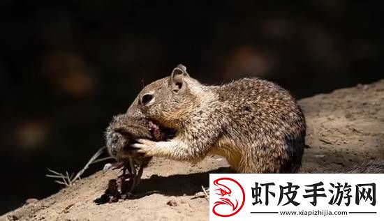 你敢信吗