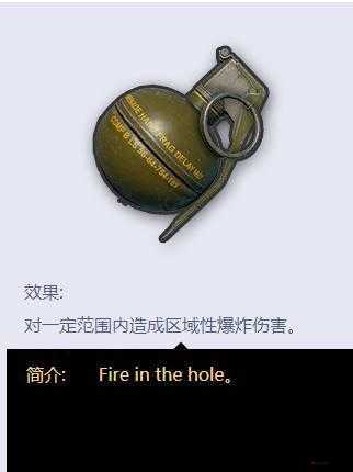 CF手游鞭炮手雷怎么样,鞭炮手雷属性图鉴在游戏资源管理中的深度解析