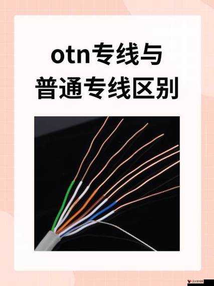 欧亚专线 w 码的区别 o 及其相关内容详细解析与探讨