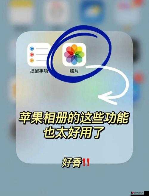 -PICS 大全:揭秘私密照片背后的故事
