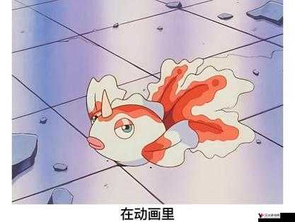 口袋妖怪复刻,角金鱼种族值深度解析