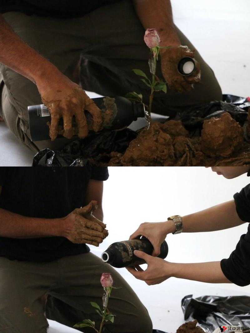 欧美人与物物交的独特现象及相关探讨
